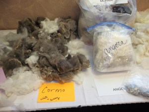 Some of the fiber samples