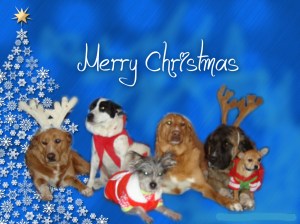 pizap.com13556901614631